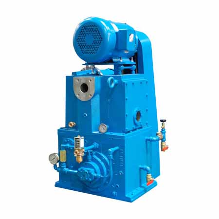 RotaryPistonPump